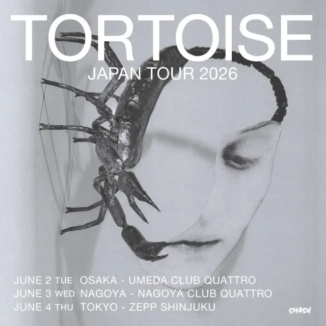 TORTOISE（トータス）