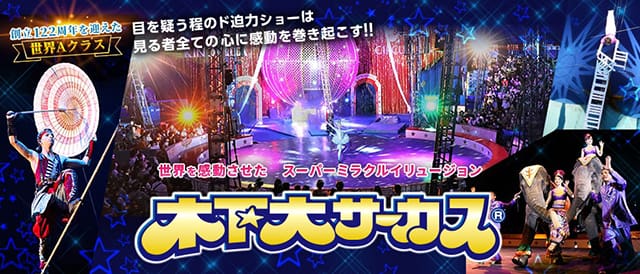 花火様専用☆木下大サーカス立川公演入場券自由席３枚（2月3日〜3月10日）