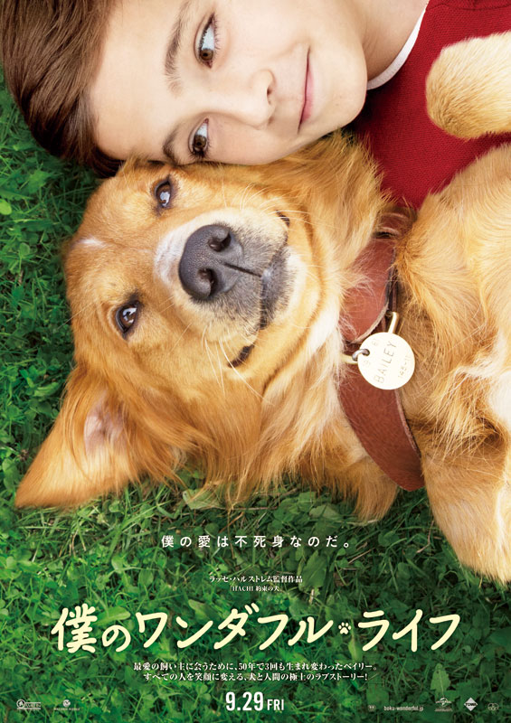 「僕のワンダフル・ライフ」
