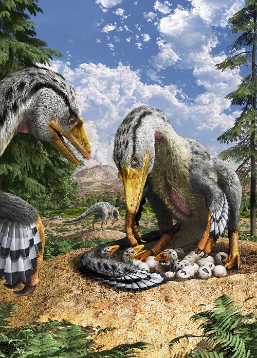 恐竜の卵～恐竜誕生に秘められた謎～