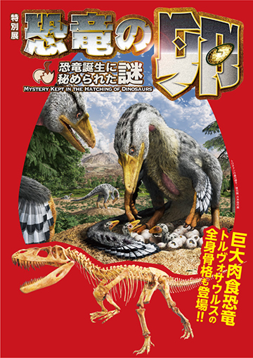 特別展「恐竜の卵 ~恐竜誕生に秘められた謎~」