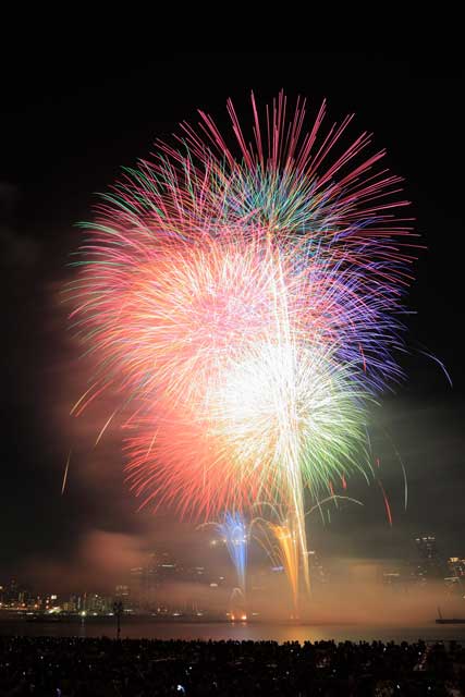 第36回 なにわ淀川花火大会｜イベントのチケット ローチケ[ローソン ...