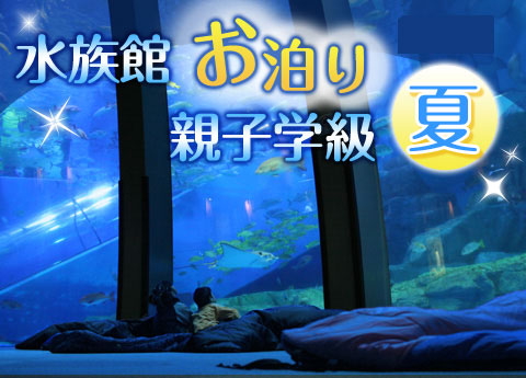 SPP限定 水族館お泊り親子学級2019｜レジャーのチケット ローチケ