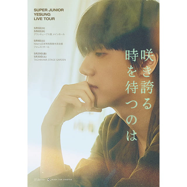 YESUNG (イェソン)