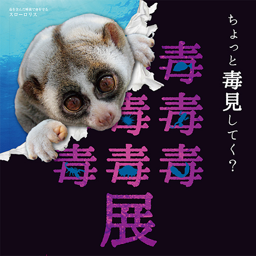 毒毒毒毒毒毒毒毒毒展（もうどく展）