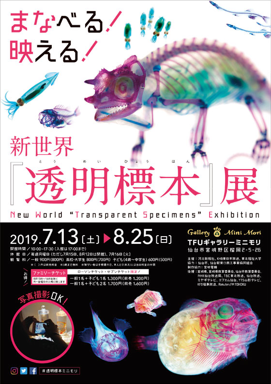 新世界『透明標本』展｜イベントのチケット ローチケ[ローソンチケット]