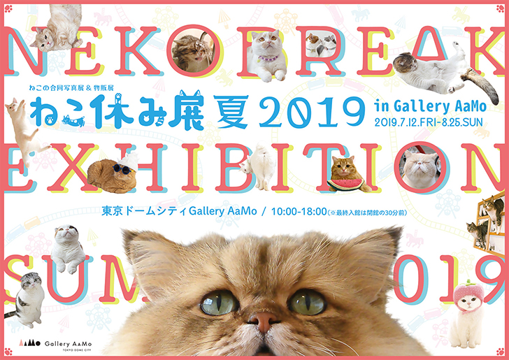 ねこ休み展 夏 2019 in Gallery AaMo