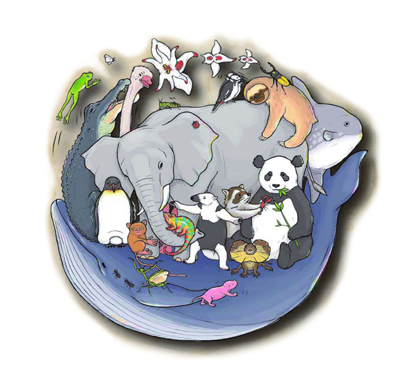 「ざんねんないきもの事典」in SANKO夢みなとタワー