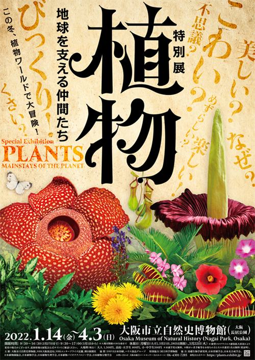 特別展 植物 地球を支える仲間たち 大阪 イベントのチケット ローチケ ローソンチケット