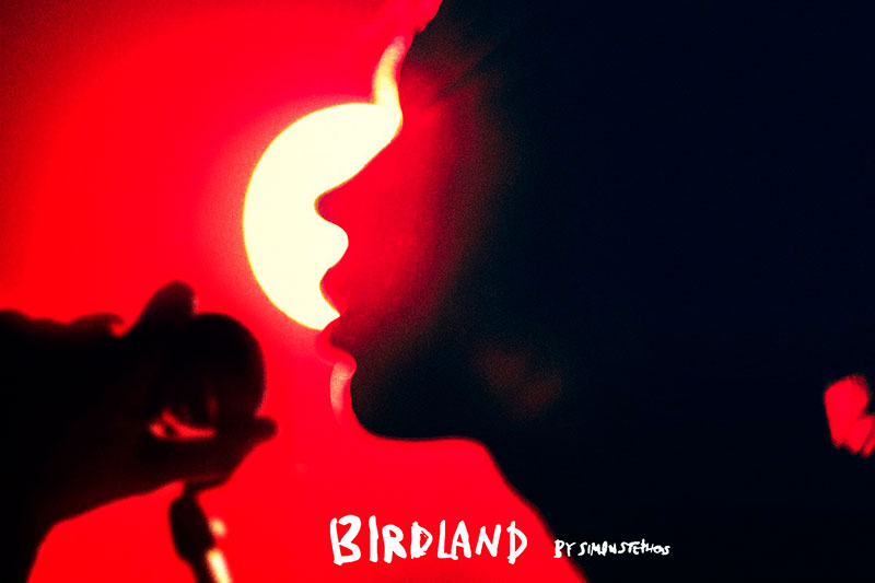 パルコ・プロデュース公演2021『Birdland』｜演劇のチケット ローチケ[ローソンチケット]