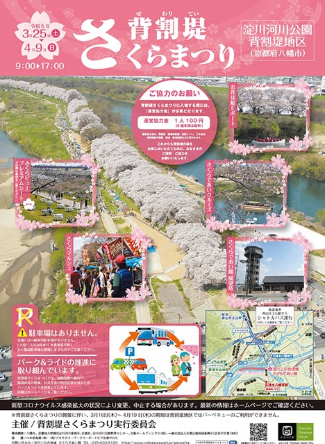 背割堤さくらまつり