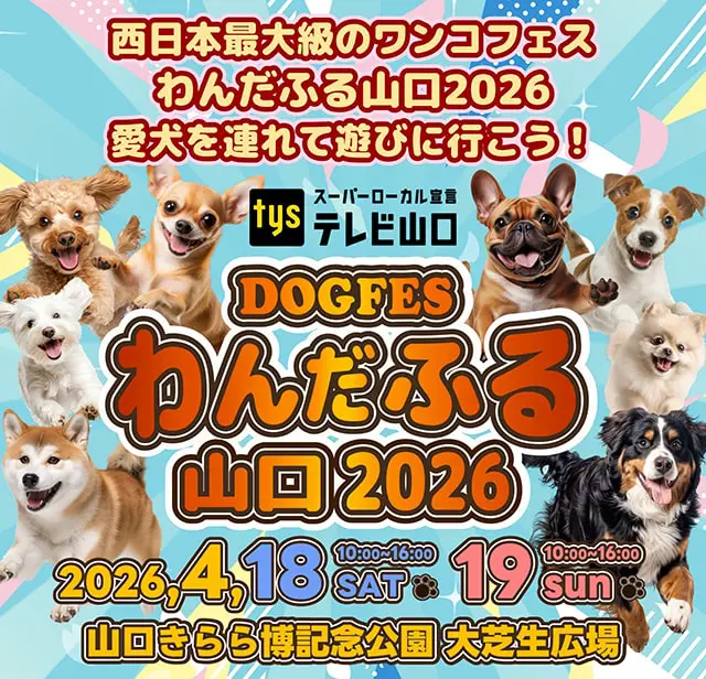 DOG FES わんだふる