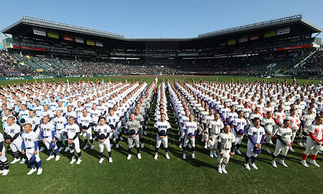 ��98��I�������w�Z�싅��� �A���v�X�f�b�L��