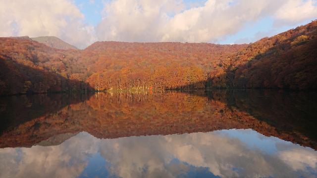 蔦沼紅葉展望デッキ（早朝）