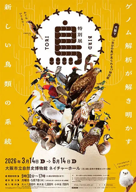 特別展 鳥
