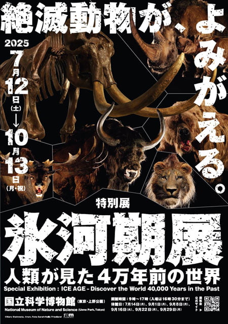 特別展「氷河期展 ～人類が見た4万年前の世界～」