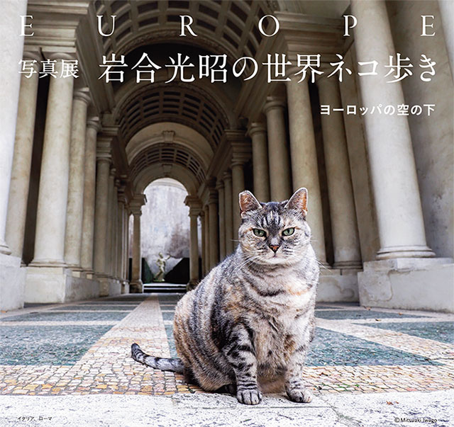 岩合光昭の世界ネコ歩き（写真展）