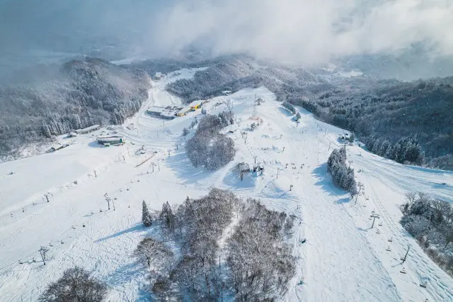 【岐阜県】ダイナランド