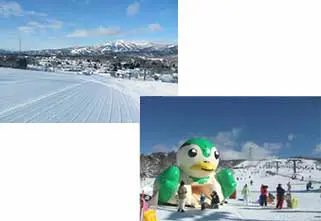 【岐阜県】ひるがの高原スキー場