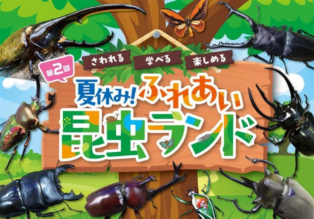 夏休み！ふれあい昆虫ランド