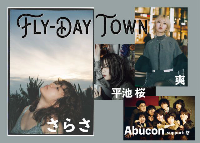 FLY-DAY TOWN