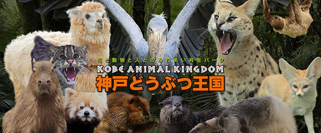 神戸どうぶつ王国