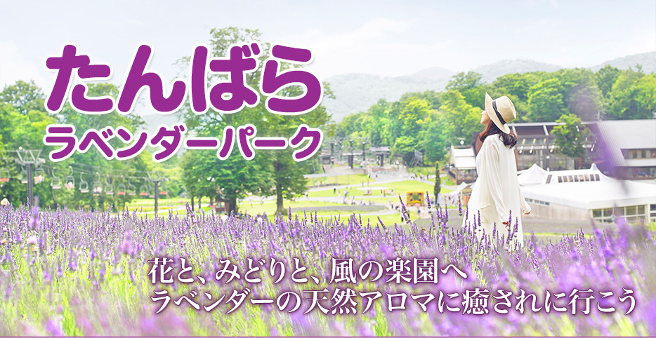 たんばらラベンダーパーク