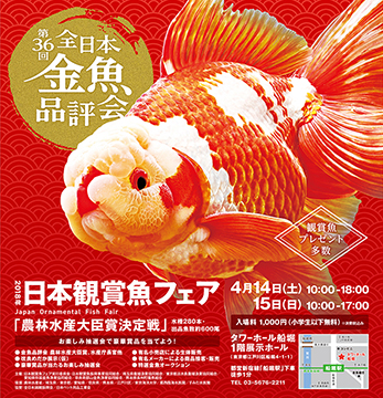 第36回全日本金魚品評会