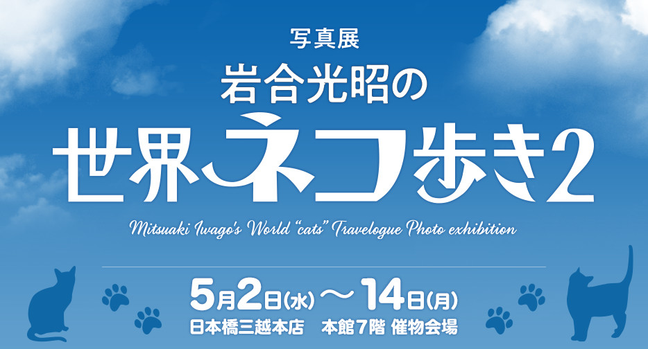 写真展 『岩合光昭の世界ネコ歩き2』｜イベントのチケット ローチケ