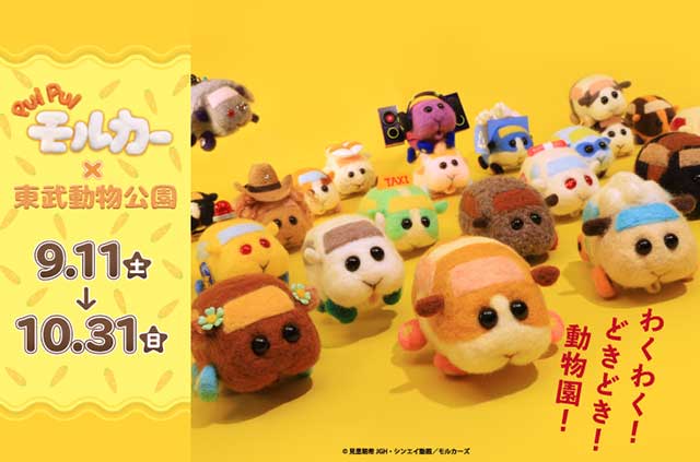 Pui Pui モルカー 東武動物公園 イベントのチケット ローチケ ローソンチケット