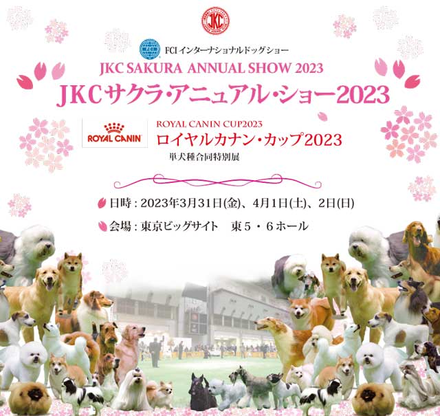 2024 年のベスト オンライン ドッグ トレーニング コース 8