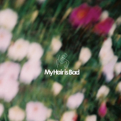 癌 コンパス 机 My Hair Is Bad 壁紙 Dronefactory Jp