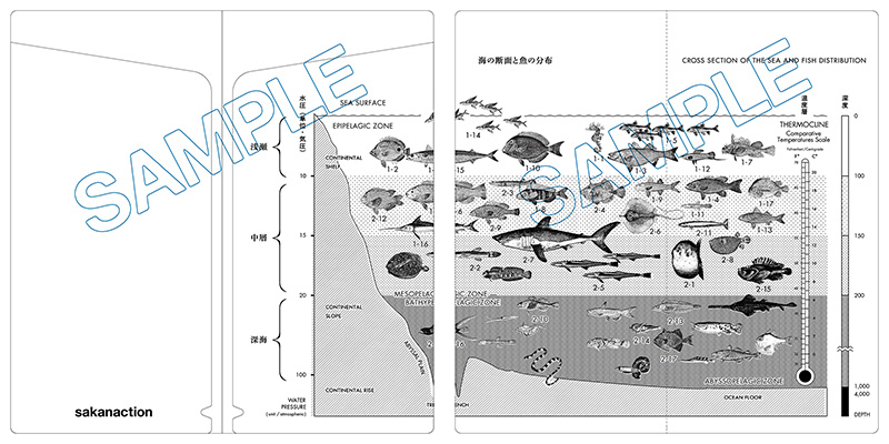 魚図鑑 【完全生産限定プレミアムBOX】(3CD+魚大図鑑