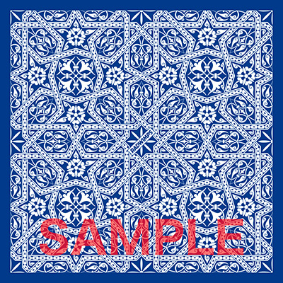カタルシスト 【完全生産限定盤 RADWIMPSオリジナルバンダナ付