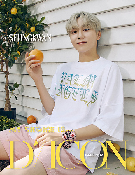 受付終了】SEVENTEEN写真集 Dicon vol.12『My Choice is