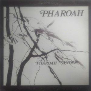 新品LP PHAROAH SANDERS ファラオ・サンダース Pharoah(LP) black jazz