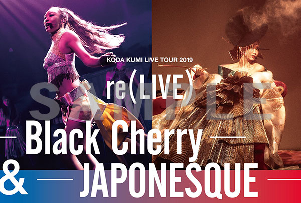 DVD 倖田來未LIVETOUR JAPONESQUE Black Cherry