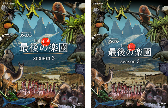 NHKスペシャル「ホットスポット最後の楽園season3」Blu-ray＆DVD-BOX  2020年12月23日発売決定【先着特典あり】|スポーツ＆ドキュメンタリー