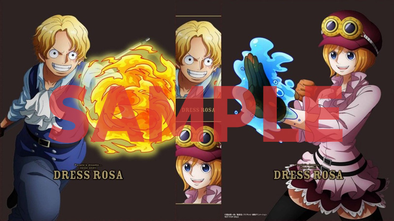 One Piece Eternal Log ブルーレイ 第4弾 発売決定 W特典つき アニメ