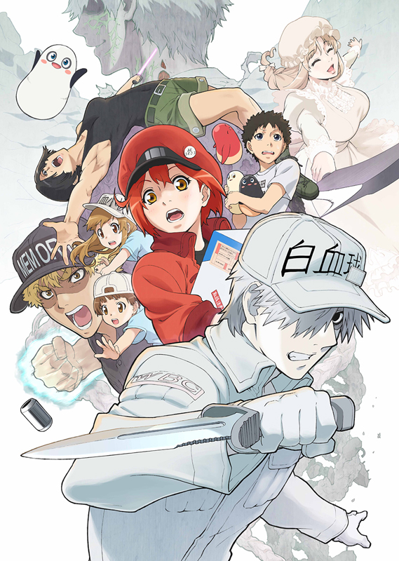 アニメ はたらく細胞 第2期 ブルーレイ Dvd発売中 アニメ