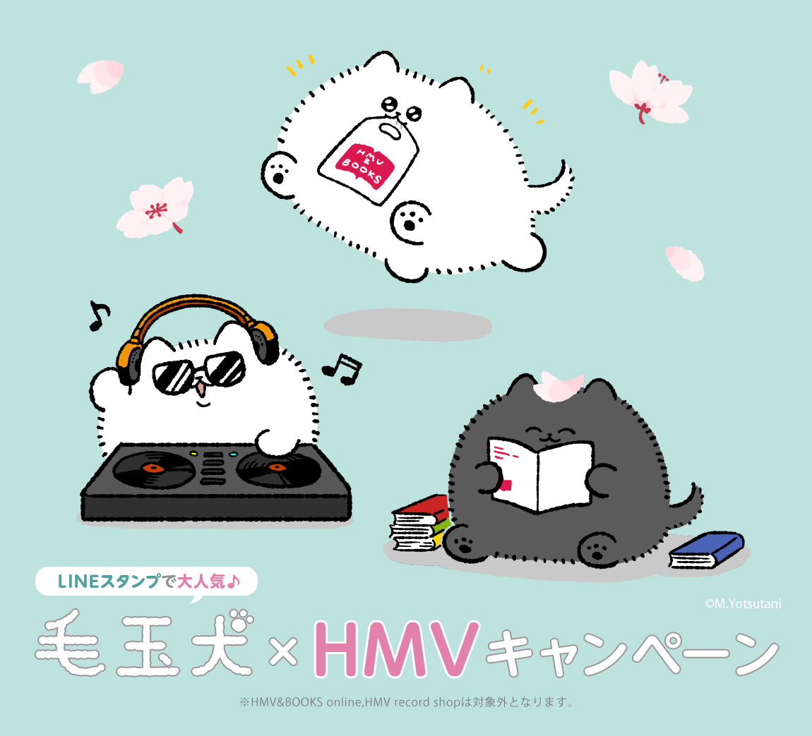 毛玉犬 Hmvキャンペーン