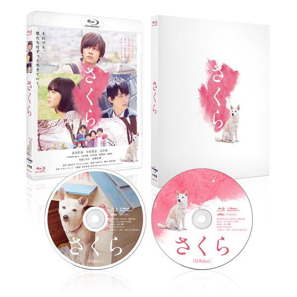 映画『さくら』Blu-ray＆DVD 2021年5月12日発売決定|邦画