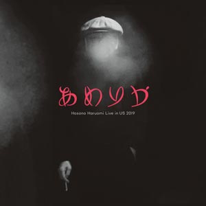 あめりか / 細野晴臣　レコード 未使用 あめりか / 細野晴臣 レコード 未使用 - メルカリ