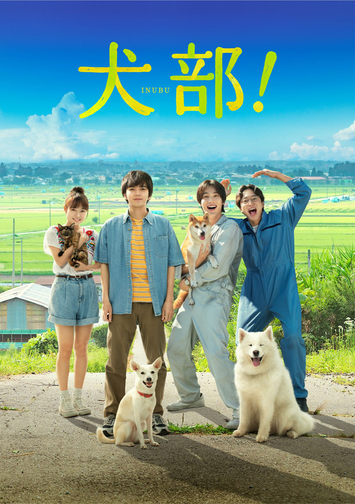 映画『犬部！』Blu-ray＆DVD 2022年1月12日発売決定【先着購入者特典