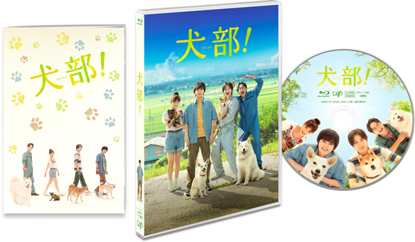 JPBA公式教材 DVD 11枚セット 動物スペシャリスト養成講座 JPBA公式教材 DVD 11枚セット 動物スペシャリスト養成講座