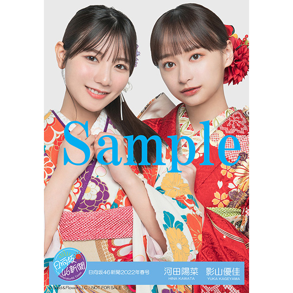 日向坂46 サインブロマイド　全メンバー 日向坂46 ビジュアル＆インタビューブック『日経