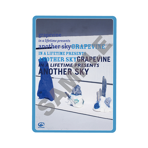 in a lifetime presents another sky (DVD+CD) : GRAPEVINE