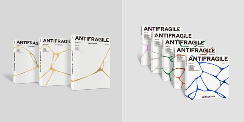 [サクラ  コンプセット ] ANTIFRAGILE