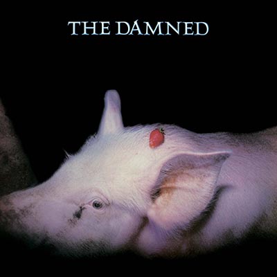 THE DAMNED ストロベリーズ レコード headline_L.jpeg