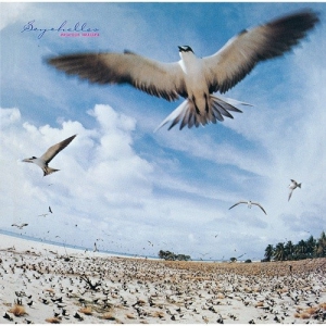 レコード 高中正義 SEYCHELLES ファースト オリジナル　LP　高橋幸宏 headline_L.jpeg
